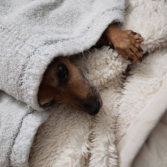 Meet your Posher, Andrea - Picture 2 of 2